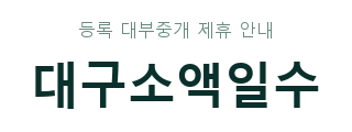 대구소액일수 안내 고정 헤더 로고